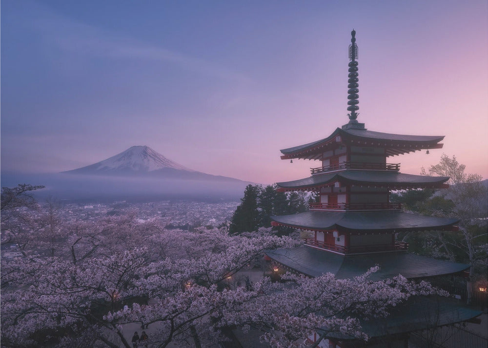 Monte Fuji Sakura | Carta da Parati Fotografica