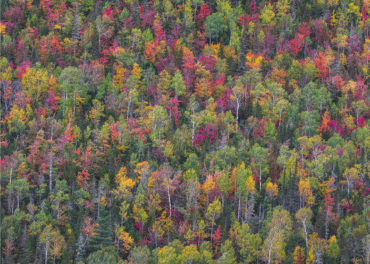 Tavolozza dei colori | Carta da Parati Fotografica