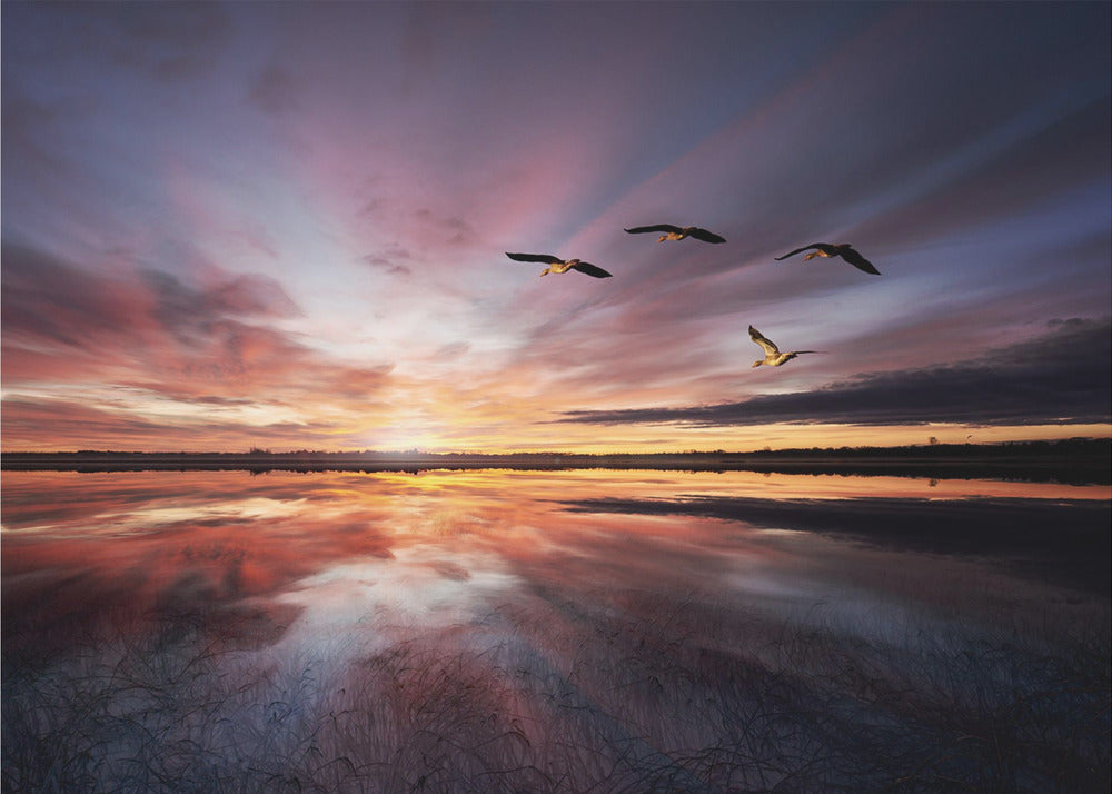 Morgenstimmung.. | Fototapeten