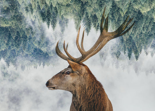 Il cervo e il bosco | Carta da Parati Fotografica