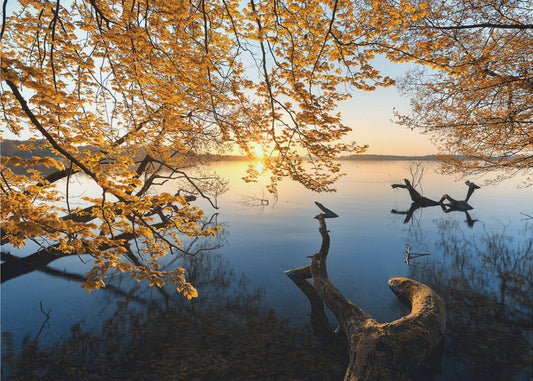 Mattina d'autunno | Carta da Parati Fotografica