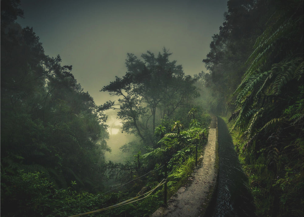 Promenade Levada | Papier Peint Photo