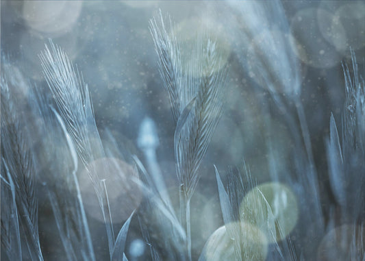 Fantastische natuur | Fotobehang