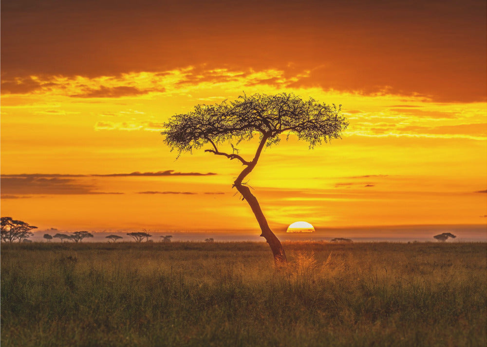 L'Afrique primordiale | Papier Peint Photo