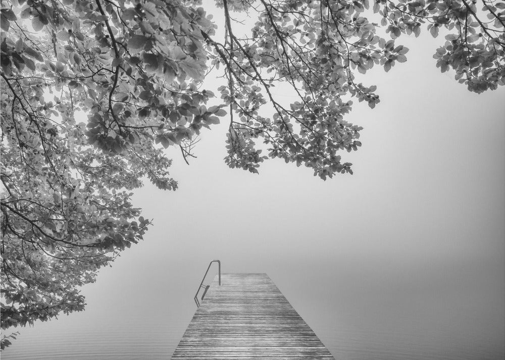 il suono del silenzio | Carta da Parati Fotografica