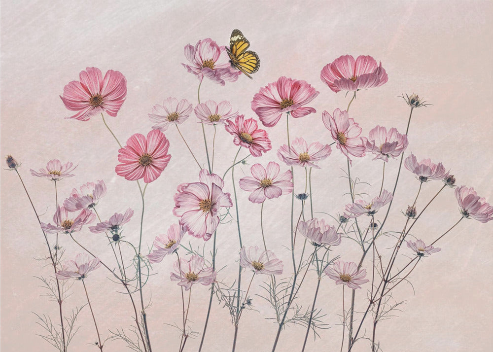 Kosmos i Motyl | Fototapeta