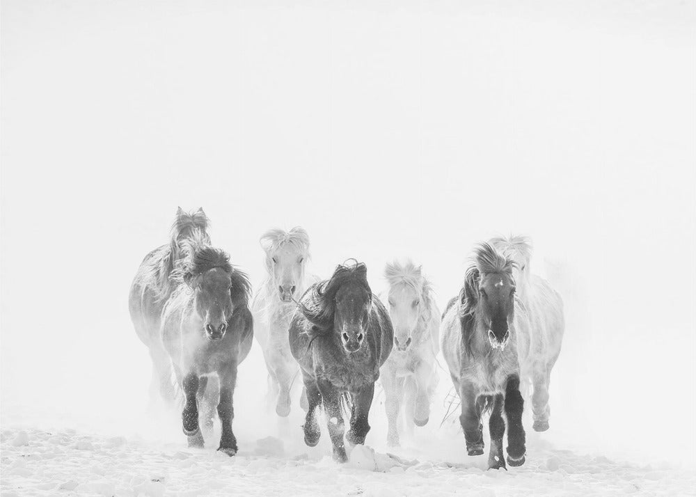 Courir dans la neige | Papier Peint Photo