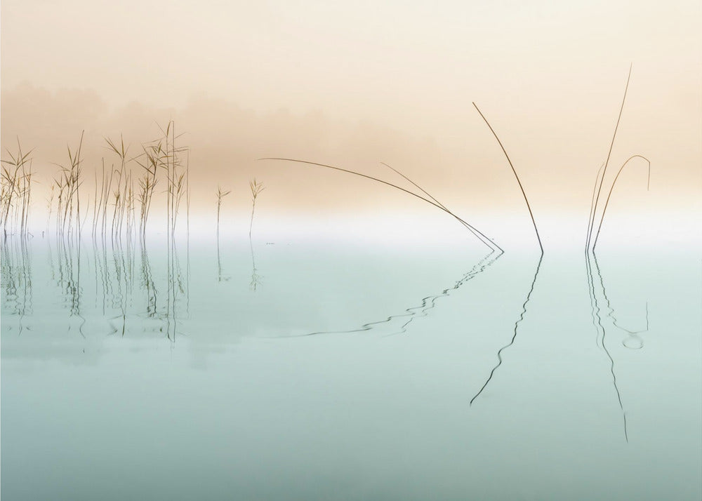 Silence | Papier Peint Photo