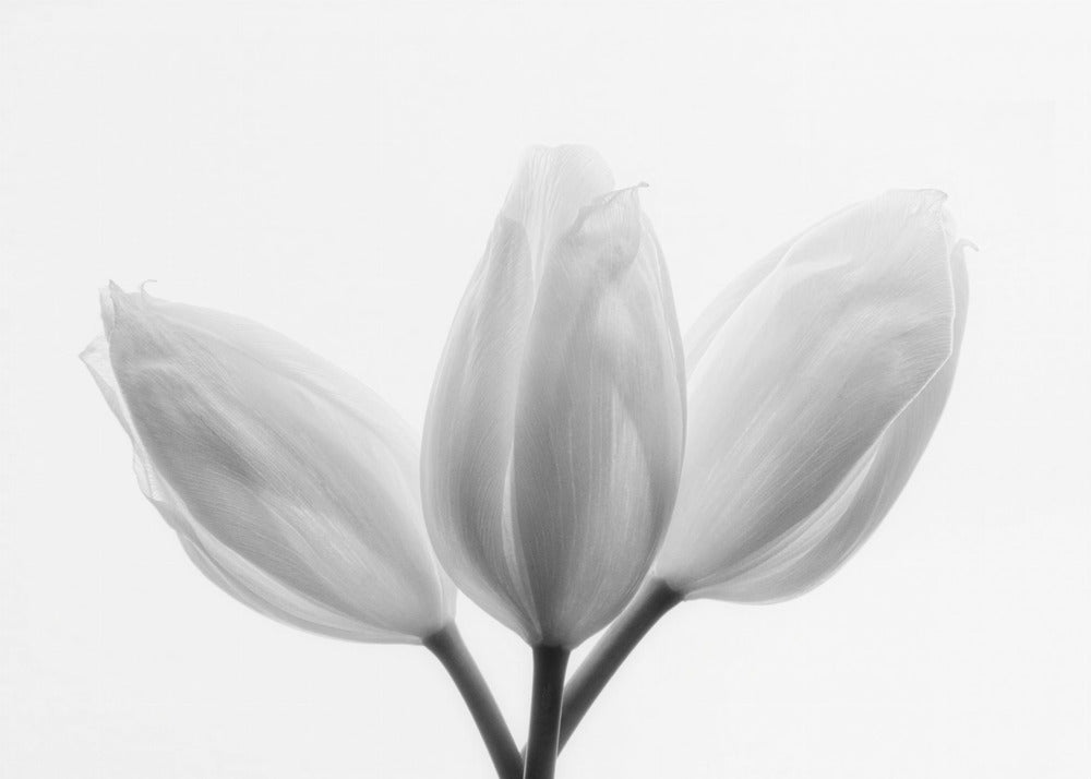 Trinité | Tableaux sur Toile