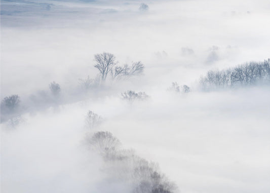 Vinter | Fototapeter