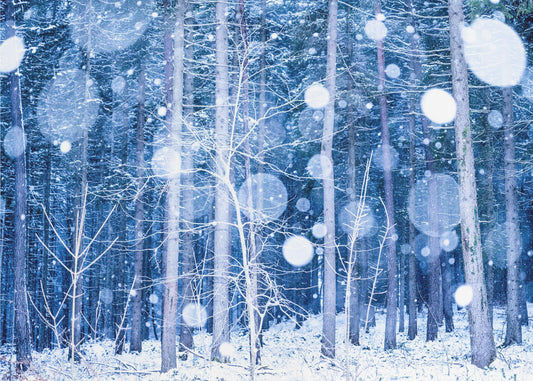 Sneeuwlandschap | Fotobehang