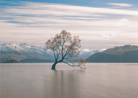 árbol solitario Papel Pintado Fotográfico