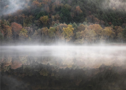 El estanque místico en otoño | Papel Pintado Fotográfico