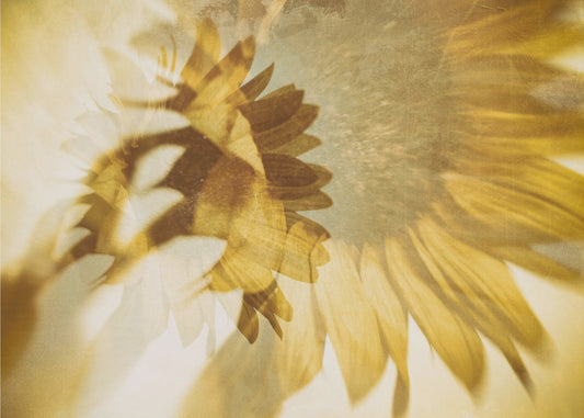 Tout comme le soleil | Papier Peint Photo