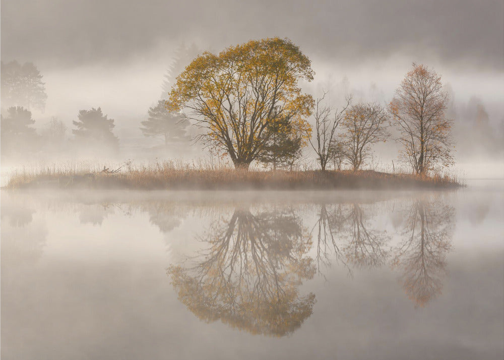 Matin brumeux | Papier Peint Photo