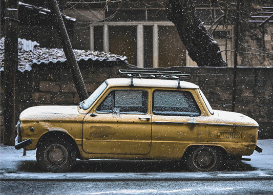 Zaporozhets | Canvastaulut