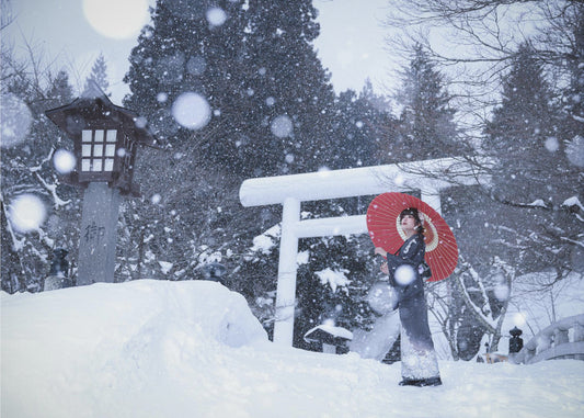 Talvipyhäkkö Japanissa | Canvastaulut