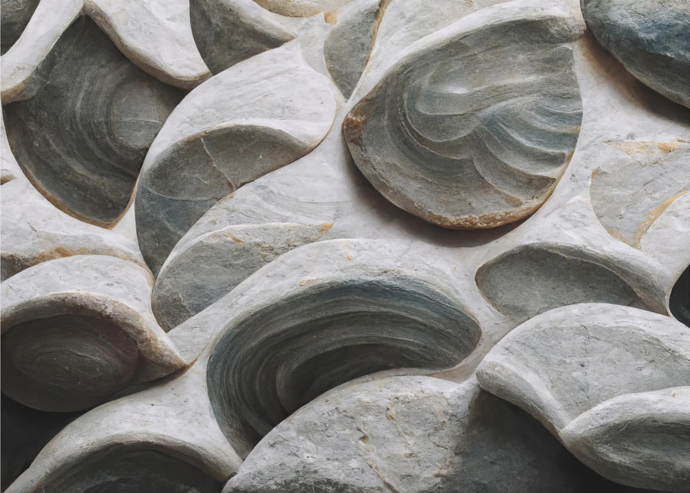 Detalle de conchas marinas nº 5 | Papel Pintado Fotográfico