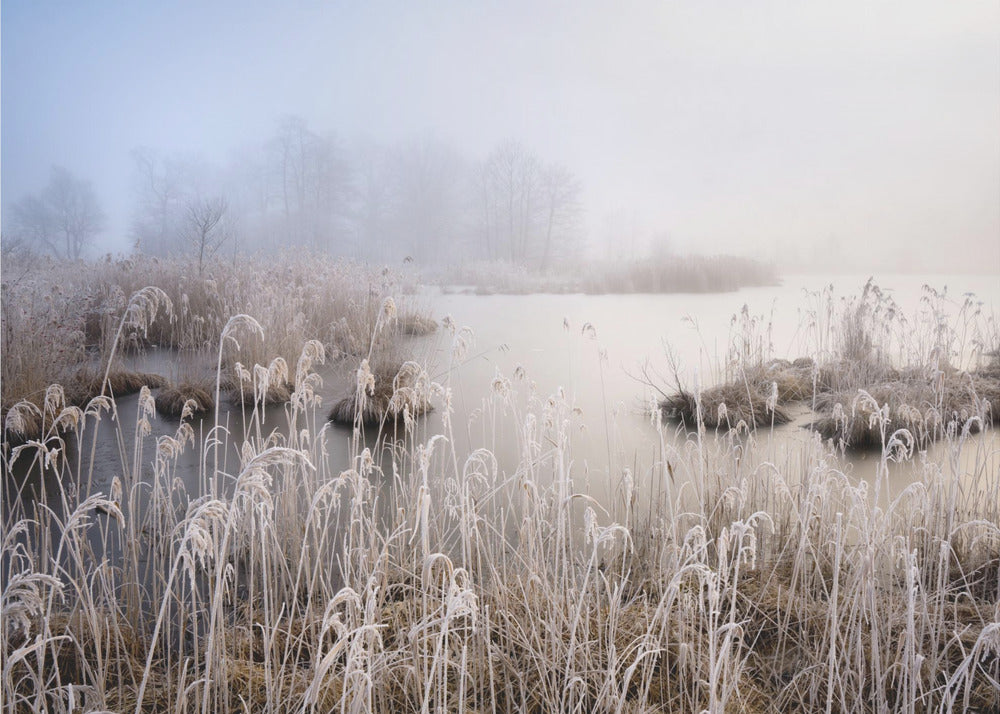 Vinter i Bayern | Fototapeter