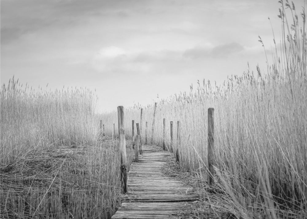 Le pont de planches | Papier Peint Photo