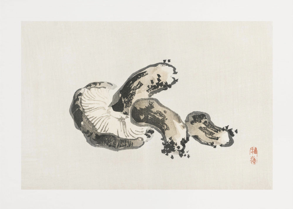 Funghi Shiitake | Stampe su Tela