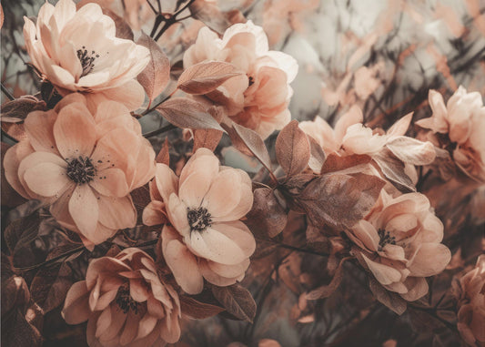 Pivoine sauvage corail | Papier Peint Photo