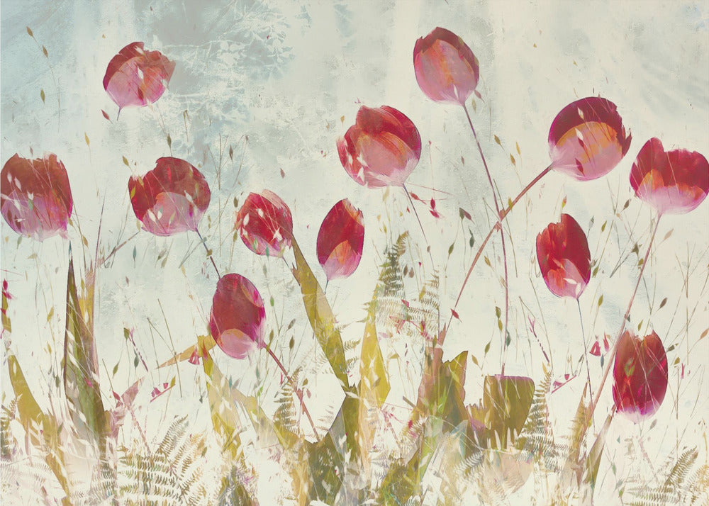 Glade tulipaner | Fototapeter