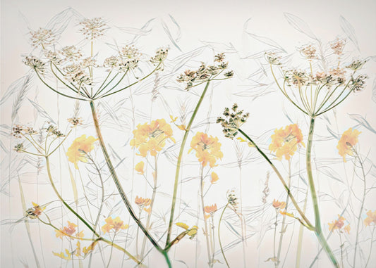 Art des fleurs de printemps | Papier Peint Photo