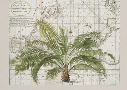 Empire Tropical N°1 | Papier Peint Photo