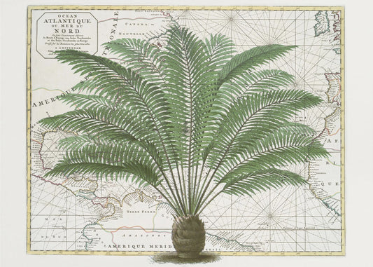 Empire Tropical N°5 | Papier Peint Photo
