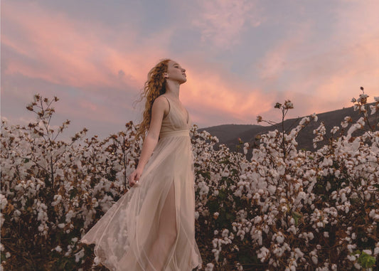 Tramonto nel campo di cotone | Stampe su Tela
