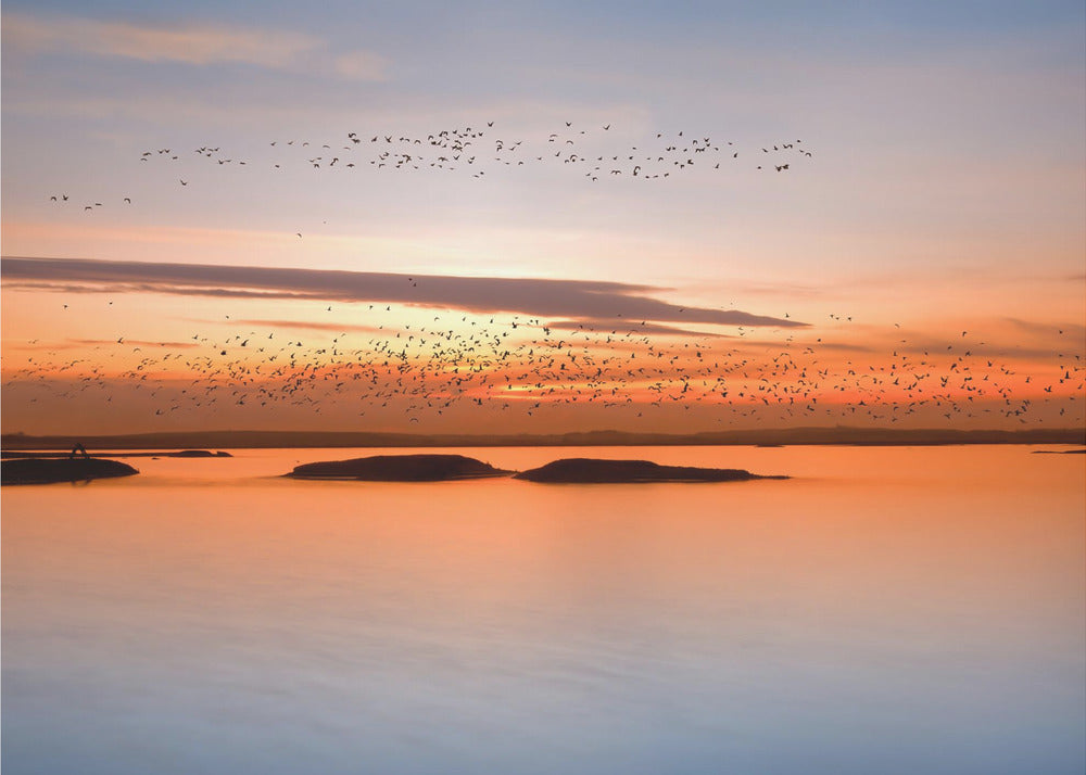 au coucher du soleil | Papier Peint Photo