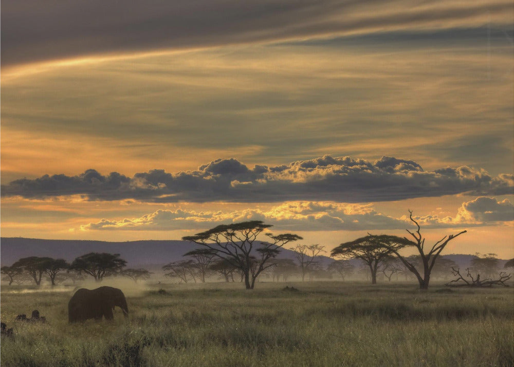 Afrika | Poster