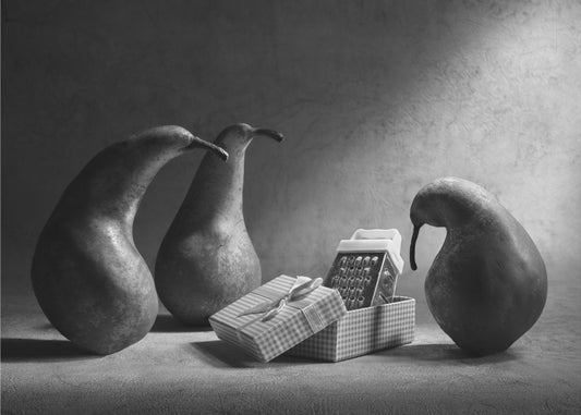 Non ti piace il nostro regalo?! | Poster - Stampe d’Arte