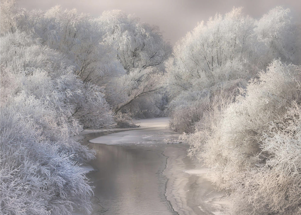 Canzone d'inverno | Carta da Parati Fotografica