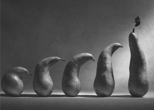 L'evoluzione | Poster - Stampe d’Arte