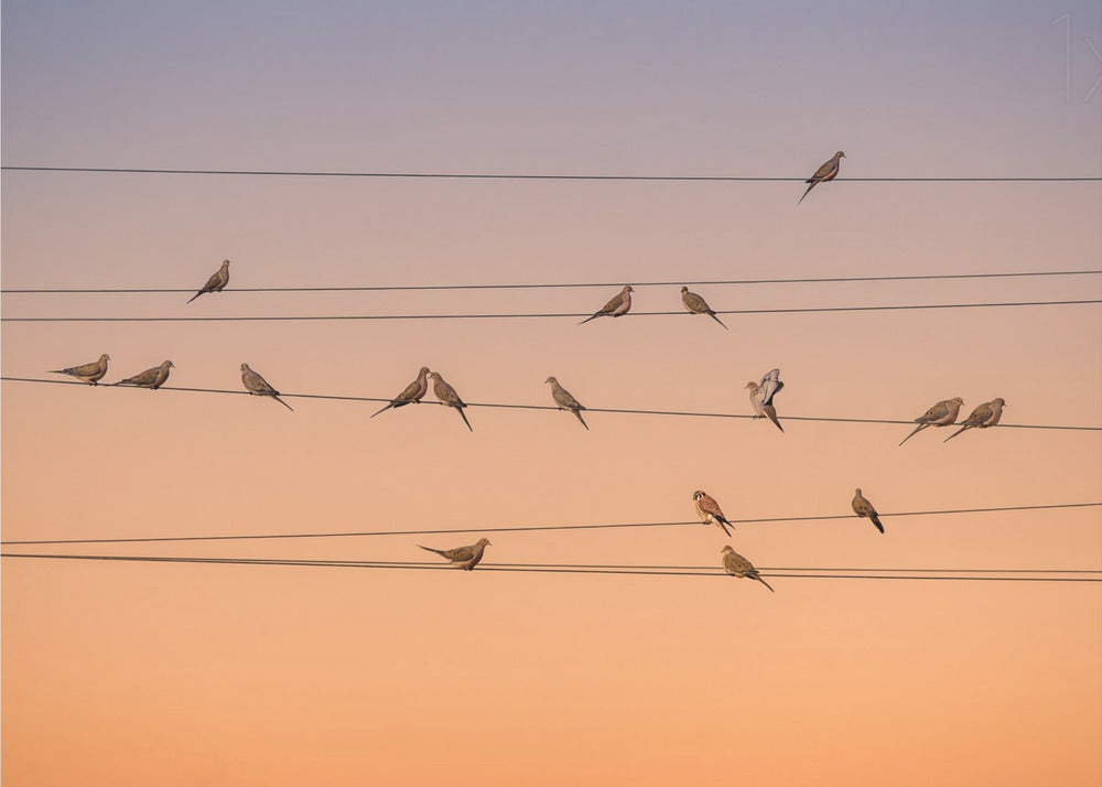 Musique de lumière | Papier Peint Photo