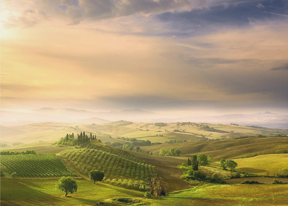 Podere Belvedere's Sunrise | Carta da Parati Fotografica