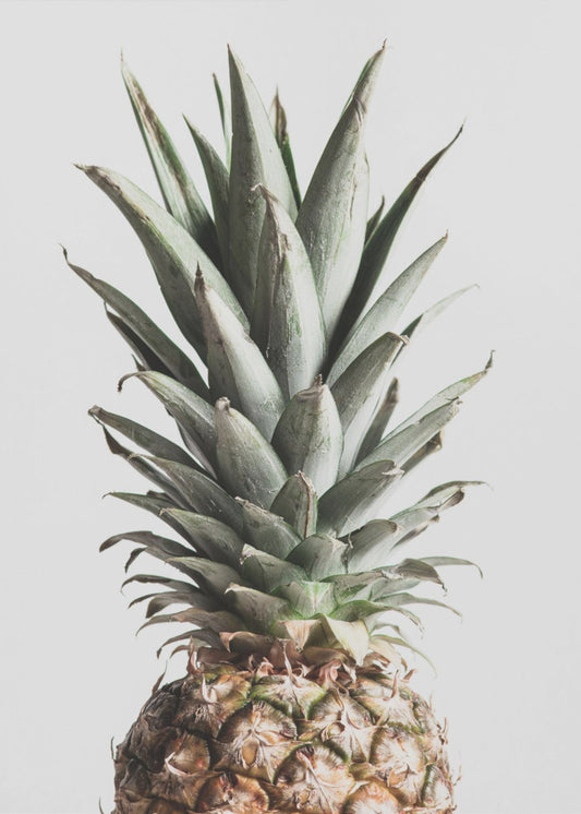 Ananas Natur | Poster - Kunstdruck