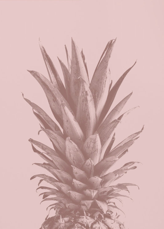 Ananasrosa 05 | Poster - Kunstdruck