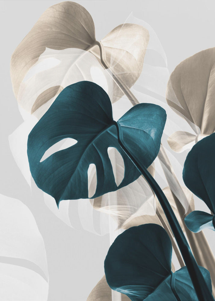 Monstera Creative 10 | Canvastaulut