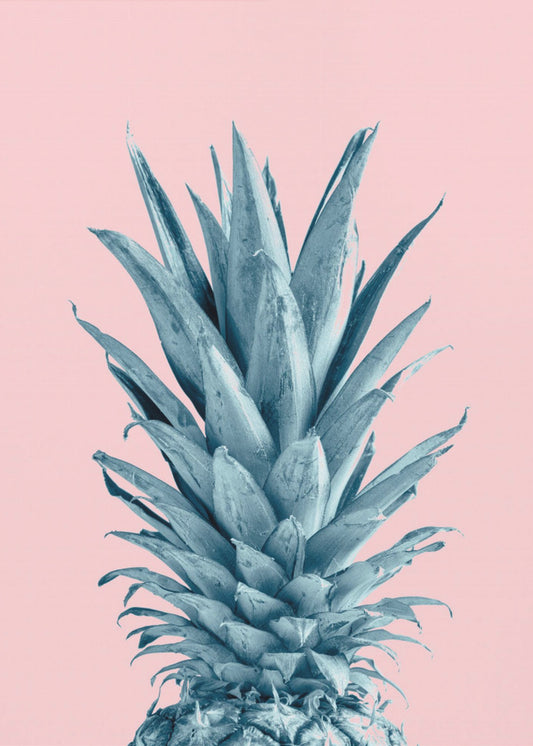 Ananasrosa 06 | Poster - Kunstdruck
