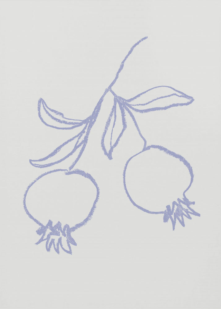 Granatäpple Syren | Poster