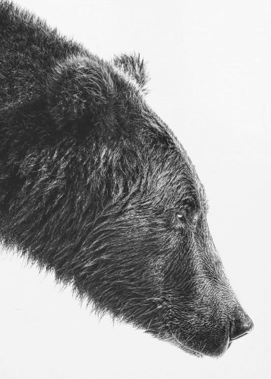 Der Lachsfänger | Leinwand-Bilder