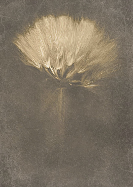Mysterieuze dagen | Canvasprints