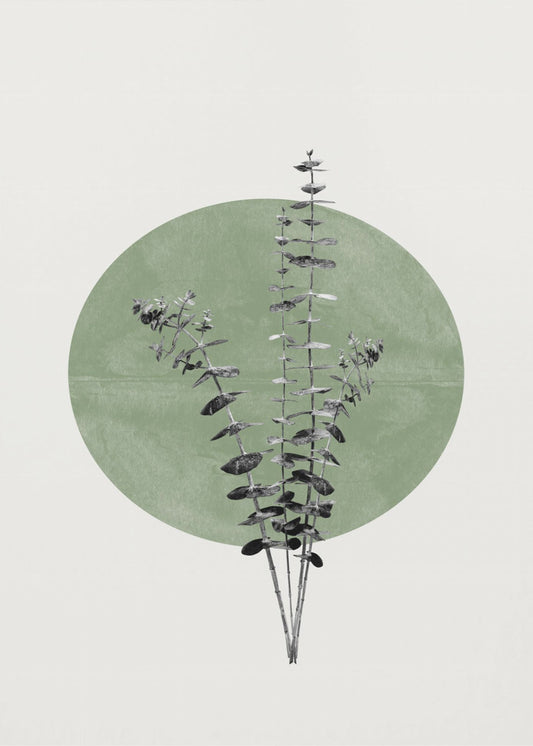 Eucalyptus en Groene Maan | Canvasprints