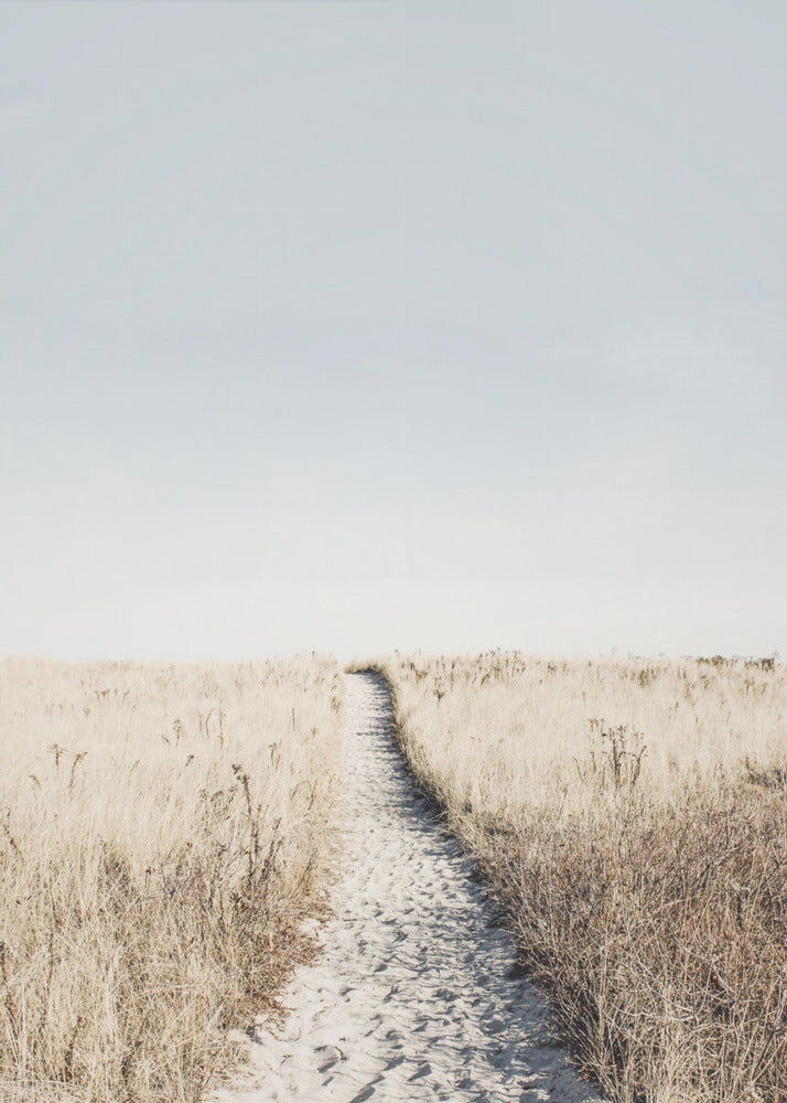 Till stranden | Canvas