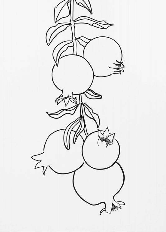 Branch of pomegranates | Poster