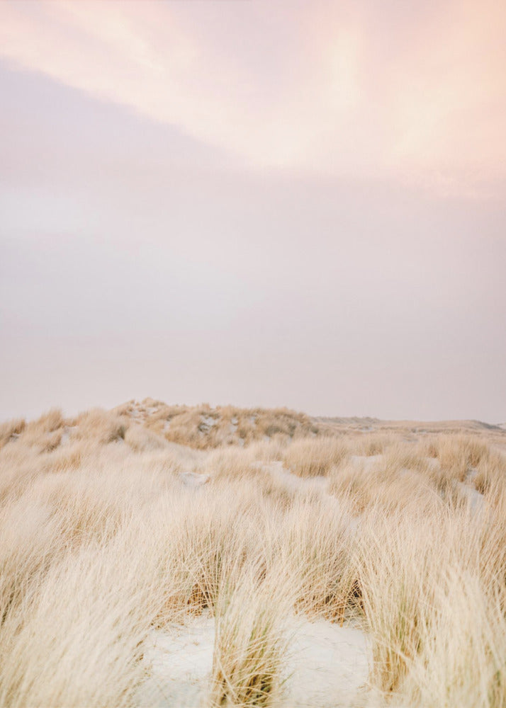 Dune di Ameland 2 | Stampe su Tela