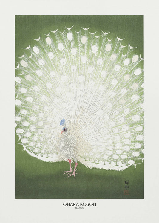Paon-Recadré | Tableaux sur Toile